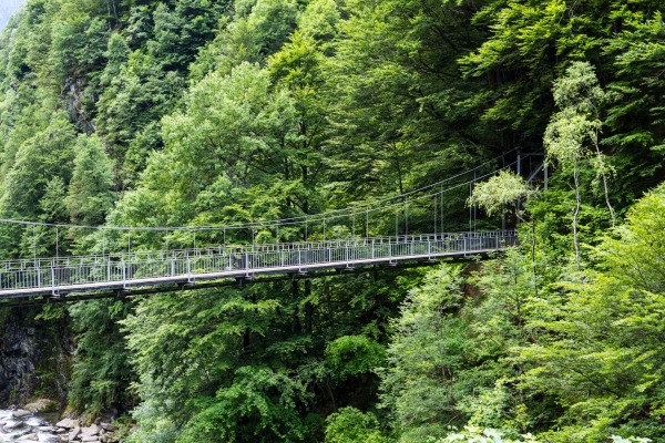 Sur des chemins isolés dans la verte Valle di Vergeletto