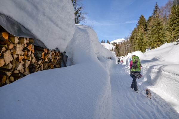 Calme hivernal et glisse pour la fin