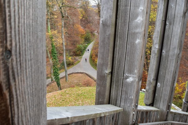 Im Jorat-Wald über Lausanne