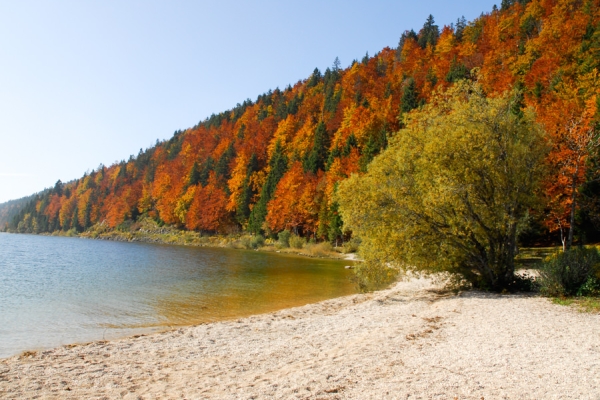 An den Ufern des Lac de Joux