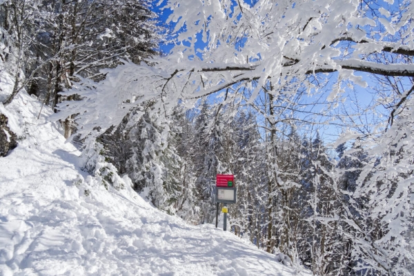 Den ganzen Tag im Schnee 