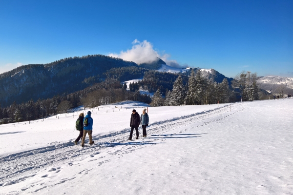 Alpenpanorama über dem Nebelmeer