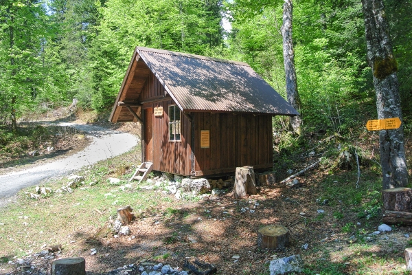 Versinken im riesigen Risoux-Wald