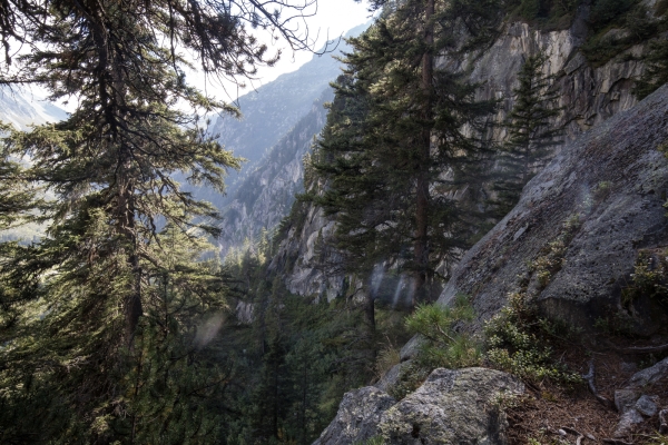 Bei der Königin der Alpen