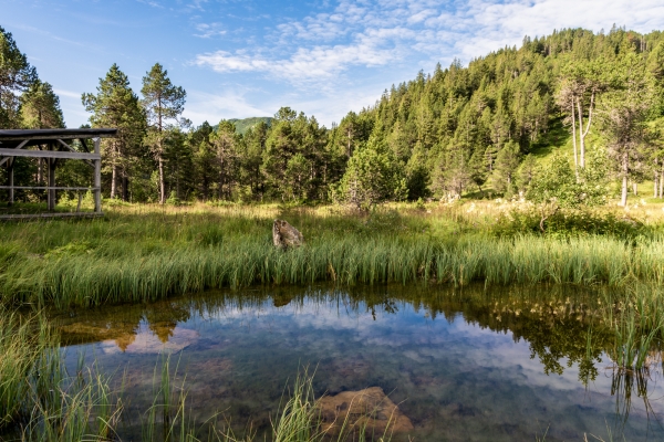 Sanfte Höhenwanderung