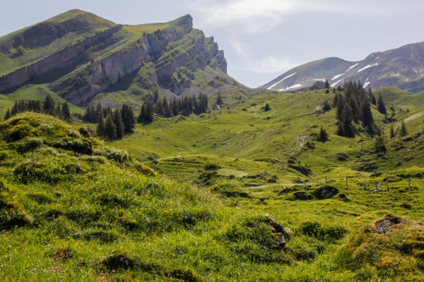 Sommerfrische und Orte der Kraft