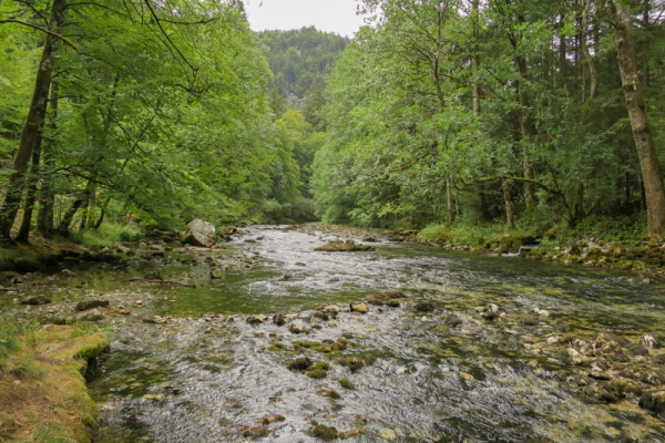 Entre Le Pont et Vallorbe