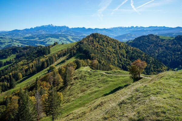 Du côté saint-gallois du Tössbergland