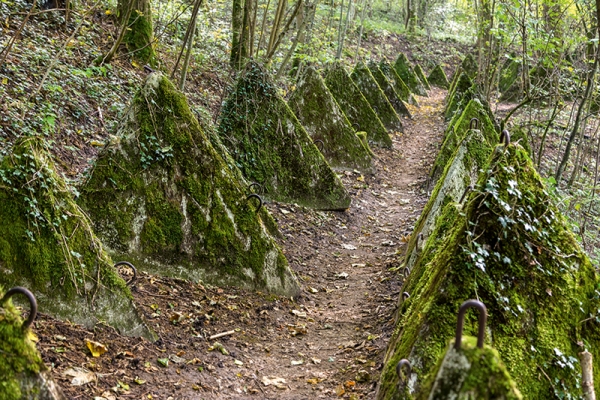 Der «Sentier des Toblerones» am Genfersee