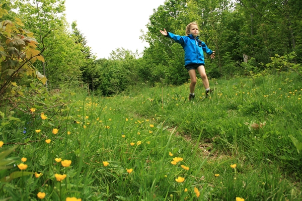 Virée au bois des Brigands