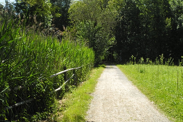 Dem See entlang von Gwatt nach Spiez