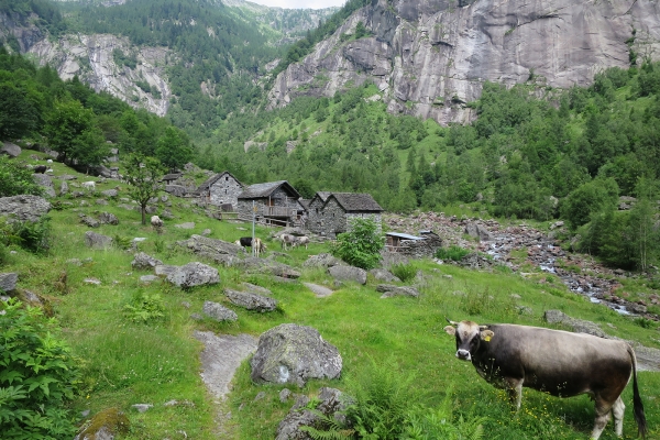 Urtümliche Tessiner Bergwelt