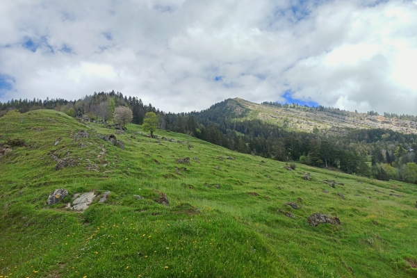 Dans la région de l’éboulement de Goldau