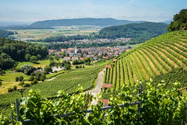 Von Brugg zum Wasserschloss der Schweiz