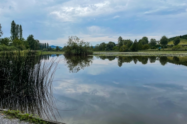 Historische Spuren und viel Natur bei Jonschwil