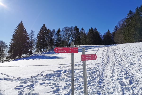 Weisses Weideland im Berner Jura