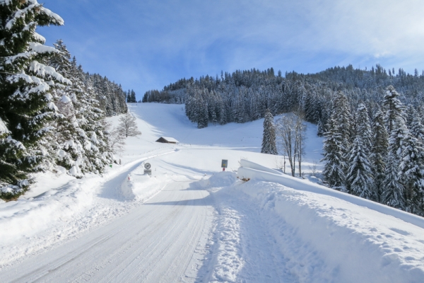 Von Heiligenschwendi nach Schwanden