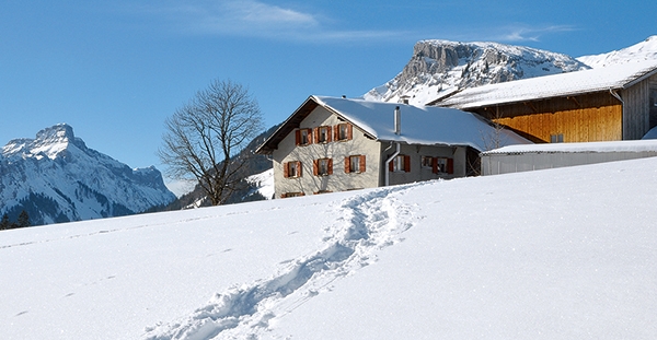 Holzwirtschaft im Entlebuch