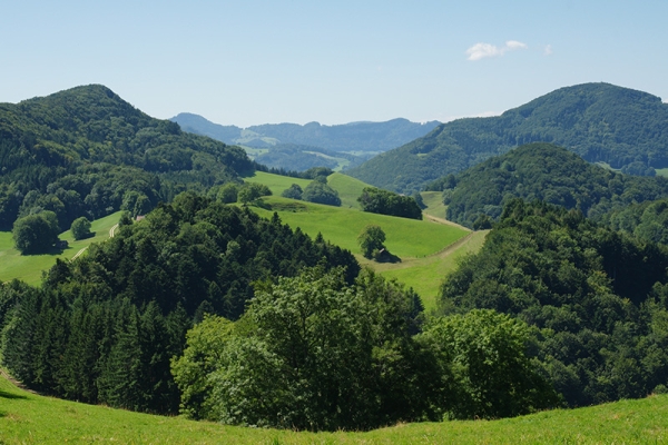 Ein Stück Jakobsweg