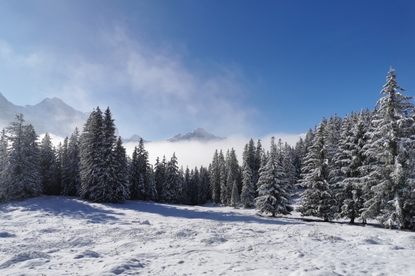 Le versant ensoleillé de Grindelwald