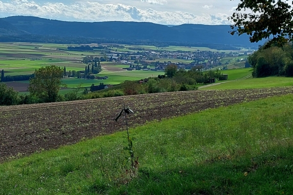 Jubiläumswanderung - 90 Jahre Schaffhauser Wanderwege