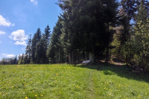 Hinauf in die Sonnenstube im Napfgebiet