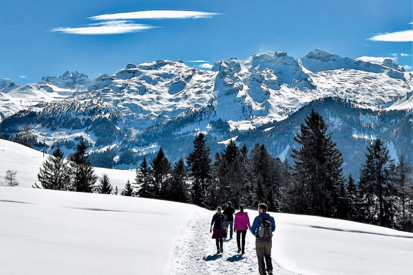 Von Oberberg an die Ibergeregg