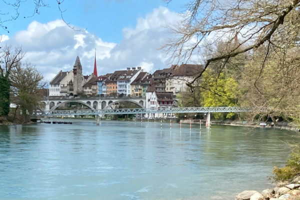 Vogelparadies am Flachsee