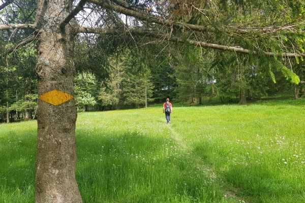 Kraftspender im Berner Jura