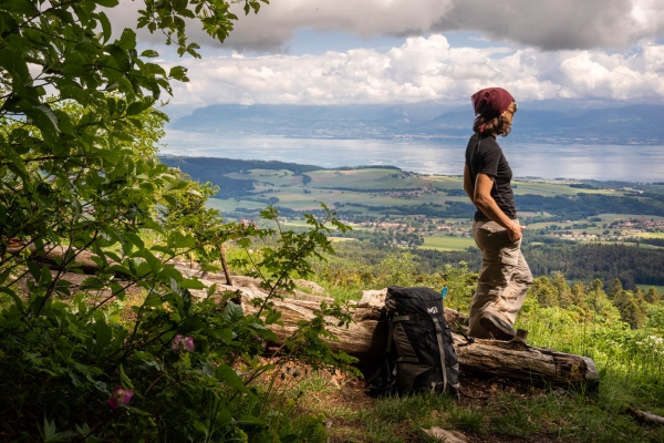 Die Trockenmauern des Mont Tendre