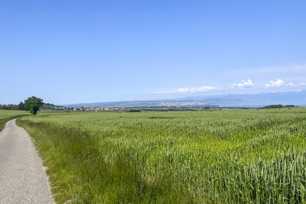 Par des chemins sinueux