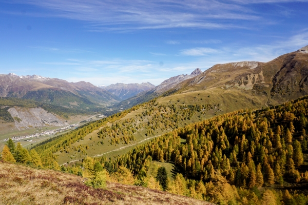 Der goldene Herbst von Zuoz