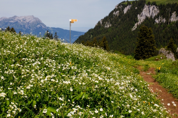 Sommerfrische und Orte der Kraft