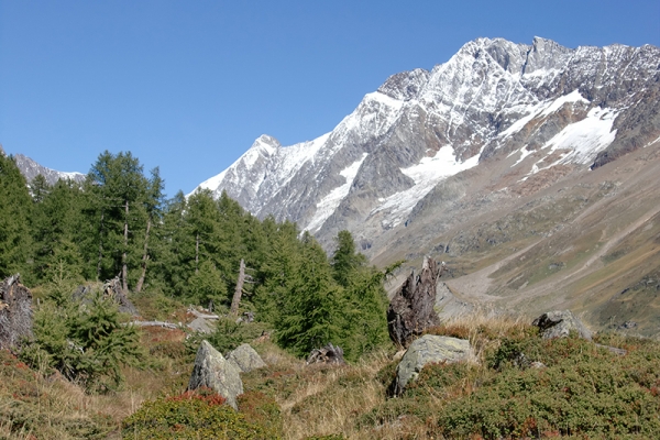 Höhenwanderung zur Fafleralp