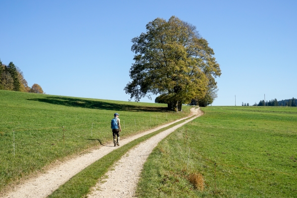 Durch die vielfältigen östlichen Freiberge