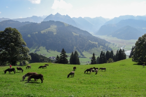 Rundwanderung mit Rundumsicht