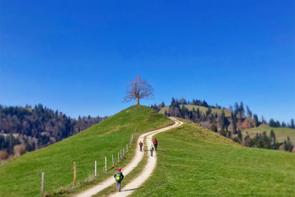 Schulreise ins Luthertal / Luthern– Palmegg via Schwarzenbach