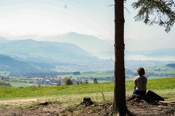 Wo Zürich an die Innerschweiz grenzt