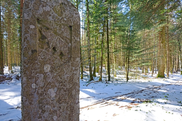 Narzissentour durch die Haute-Ajoie