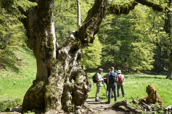 Sur le Chasseral par la Combe Grède