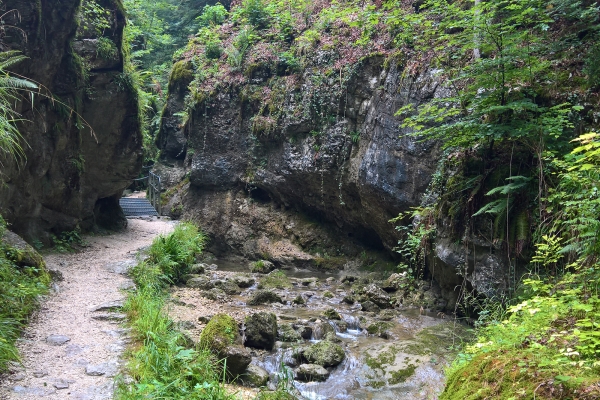 Rundwanderung im Solothurner Jura 