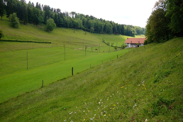 Von den Freibergen nach Delémont