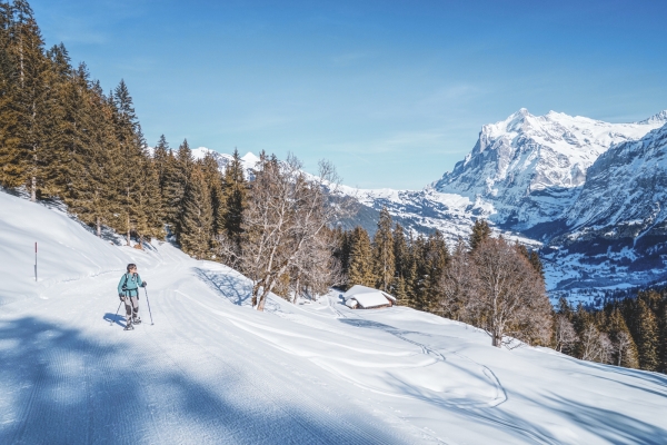 Vue sur l’Eiger et le Wetterhorn BE