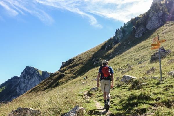 Panoramawanderung zwischen Freiburg und Waadt