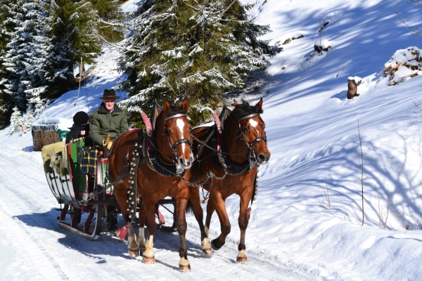 Encore plus de magie hivernale