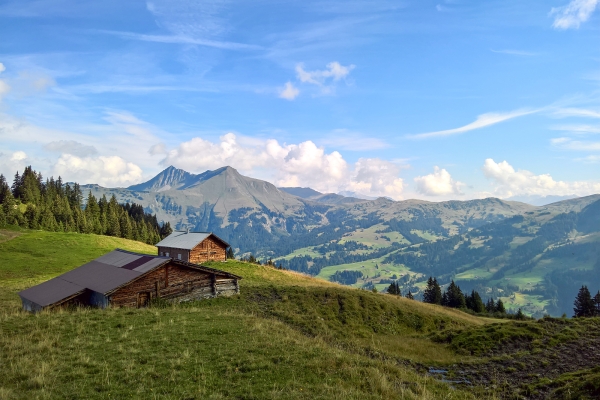 Das Saanenland von oben