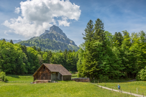 Frühling in Seelisberg