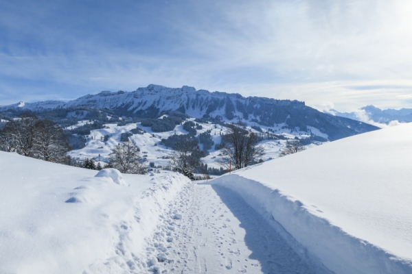 Von Heiligenschwendi nach Schwanden