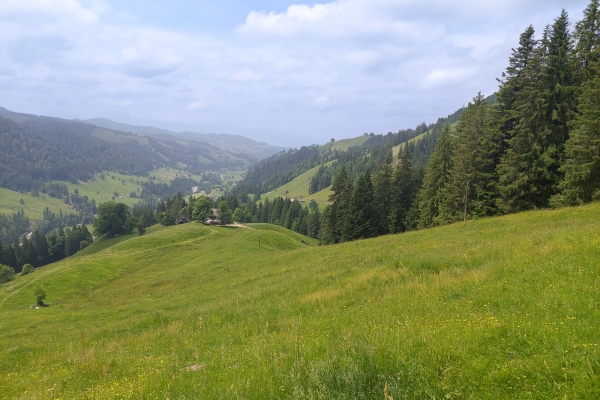 Zwischen Emmental und Berner Oberland