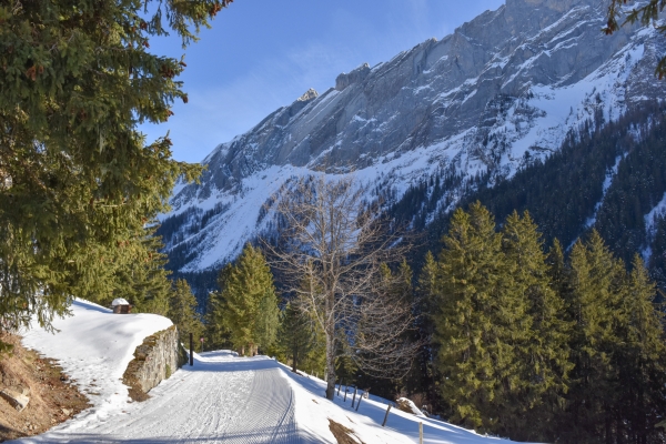 Sur l’alpage enneigé de Solalex